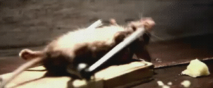 d2QwT.gif