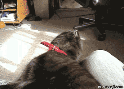 alarm.gif