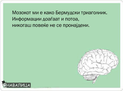 brain11