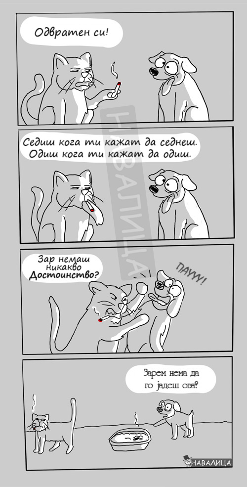 dostoinstvo