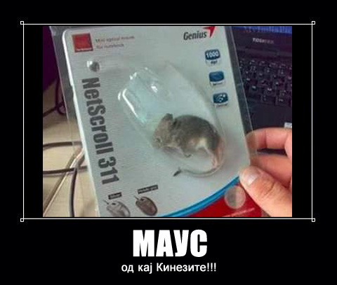 maus