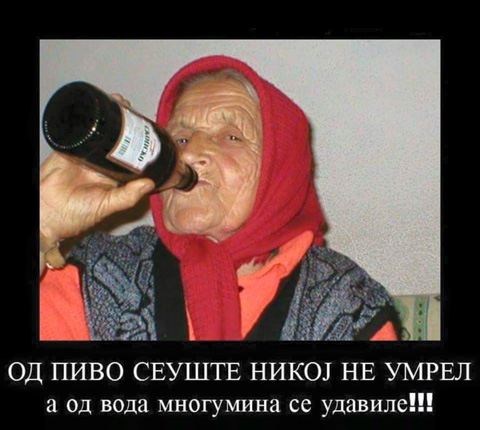 pivo