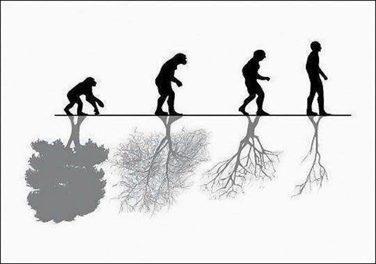 evolucija