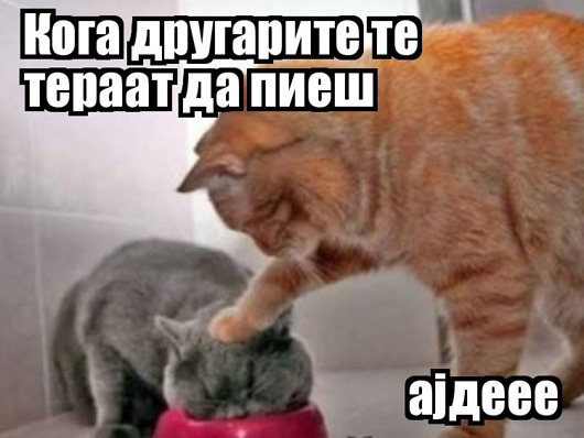 lolcat782159e1bdd655cdaa71b84671584061ebd500db