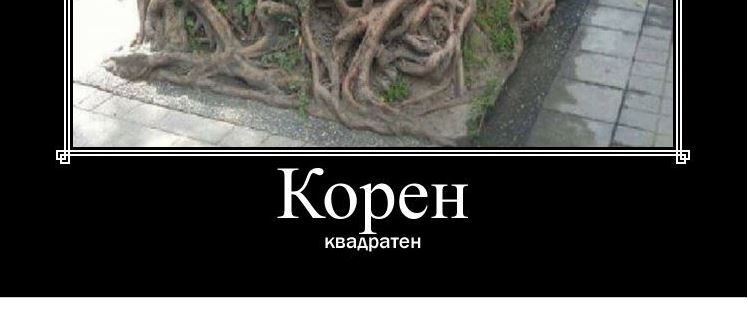 Корен квадратен – Навалица
