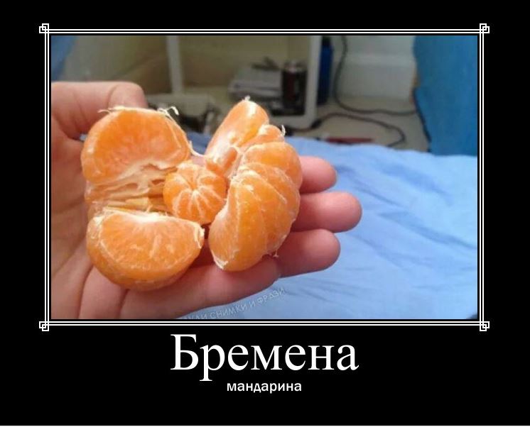 mandarina