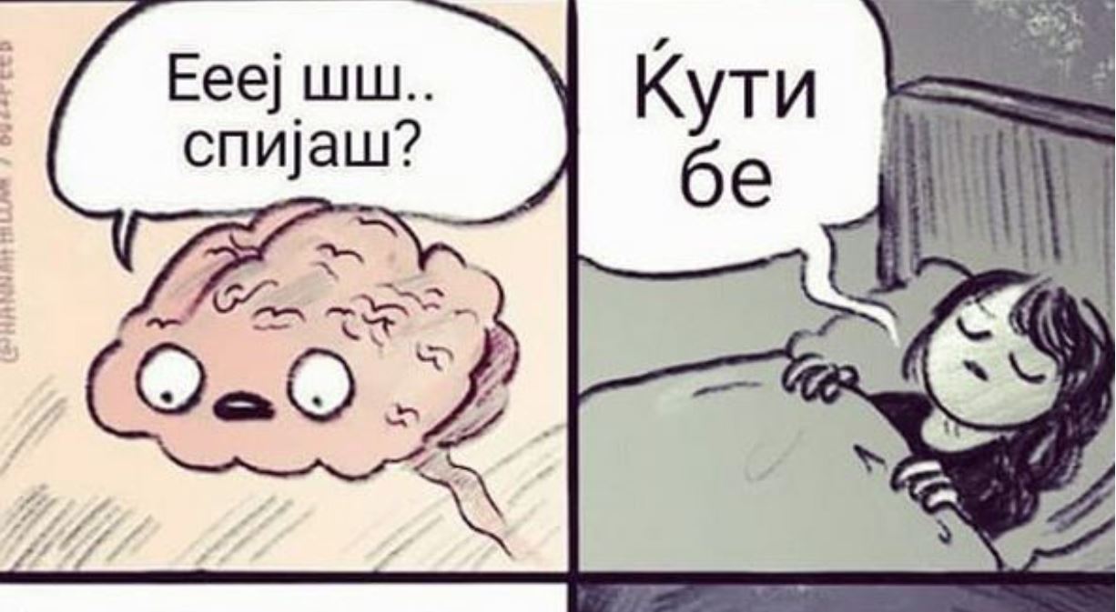 Како работи мозокот навечер... – Навалица