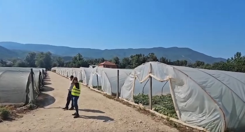 Арсовска со нова акција: Откриен див приклучок за наводнување на илјадници квадрати пластеници